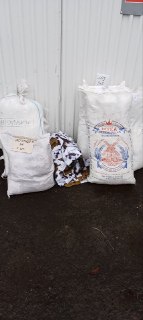 Иллюстрация 7