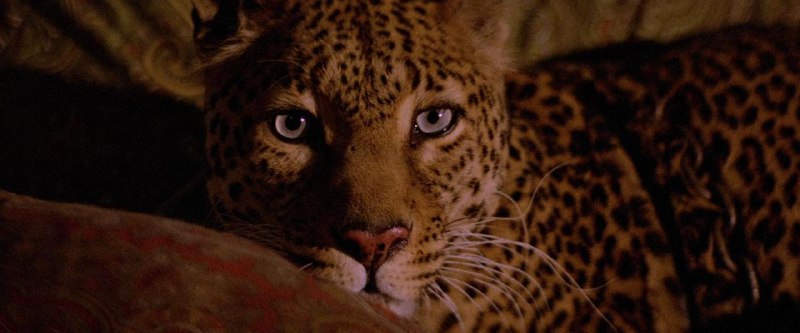 Иллюстрация 3