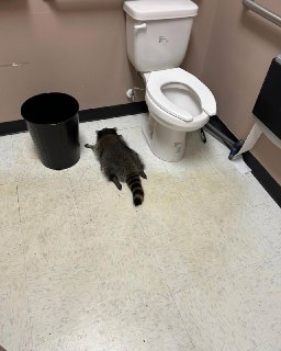 Иллюстрация 2