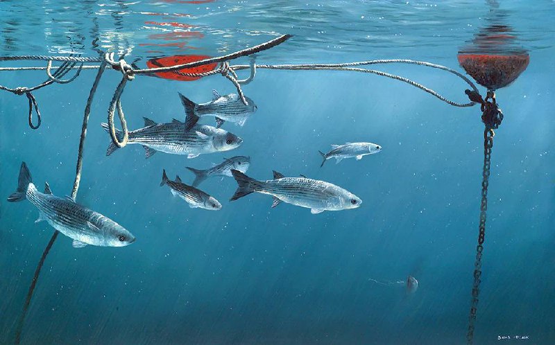 Иллюстрация 1