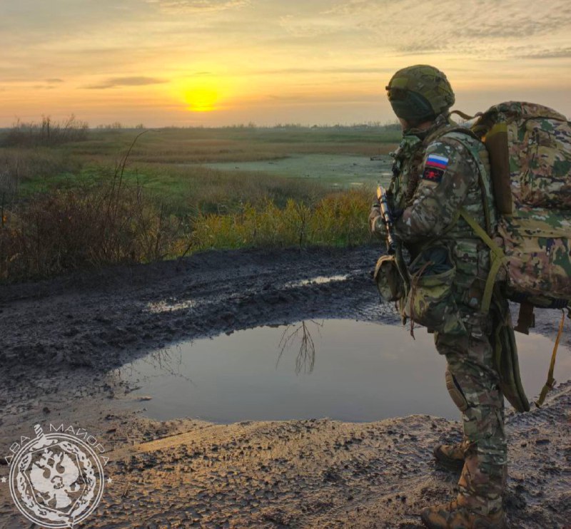 Иллюстрация 5