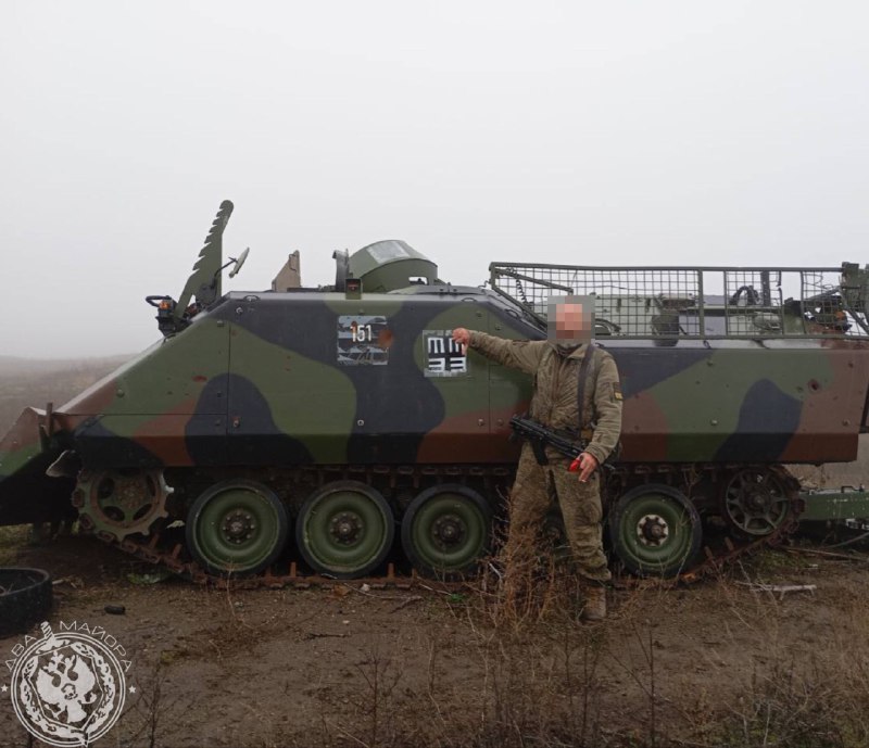 Иллюстрация 6