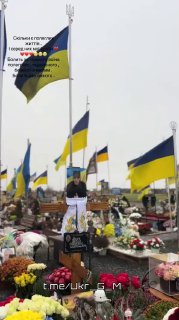 Иллюстрация 3