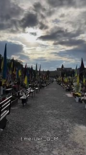 Иллюстрация 4