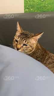 Иллюстрация 2