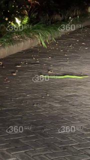 Иллюстрация 3