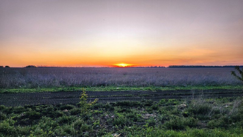 Записки из зоны боевых действий: о снайпере и красоте войны