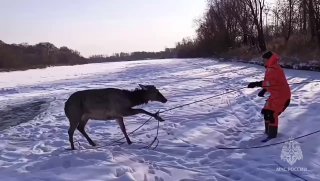 Иллюстрация 2