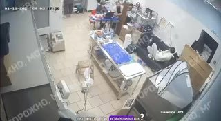 Московская ветклиника попала под проверку из-за жестокого обращения с животным