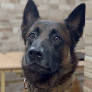 Иллюстрация 2