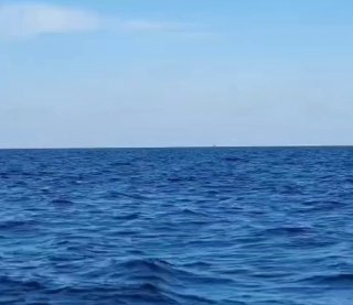 Реакция на действия Румынии в Черном море