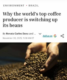 Кофе станет невкусным: мир переходит на робусту из-за глобального потепления