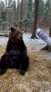 Иллюстрация 2