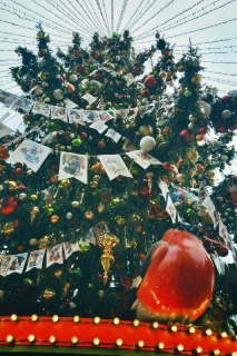 Иллюстрация 8