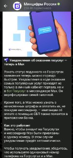 Как избежать передачи данных в Госуслуги при использовании Max