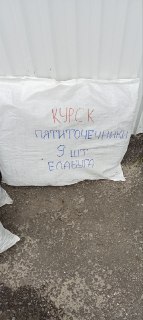 Иллюстрация 5