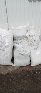 Иллюстрация 7