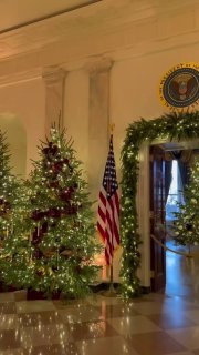 Чайковский в Белом доме